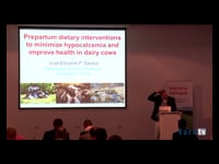 [ENG] Impact of manipulating the dietary cation-anion difference of prepartum diets on postpartum mineral metabolism, performance and health in dairy