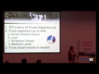 [ENG] The route of lysine, from absorption to milk protein