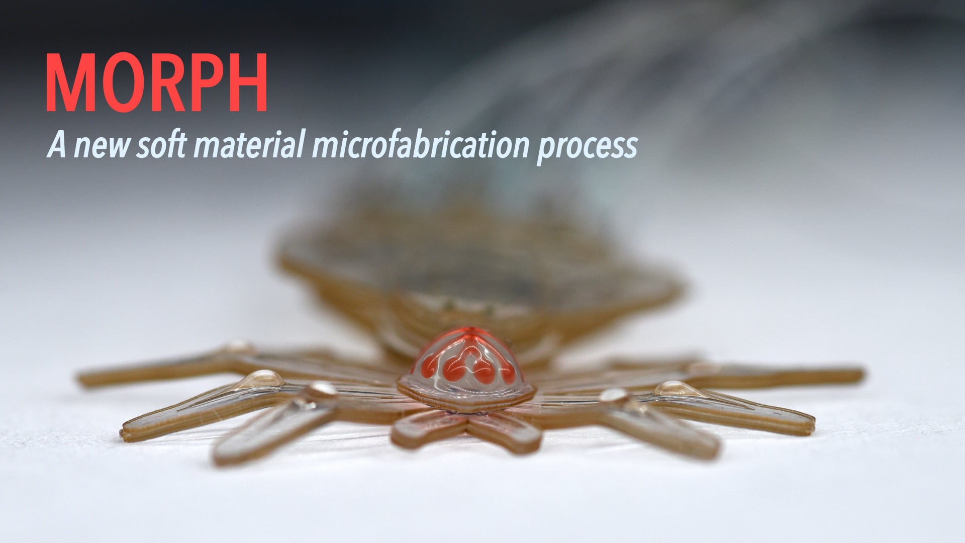 MORPH: A new soft material microfabrication process