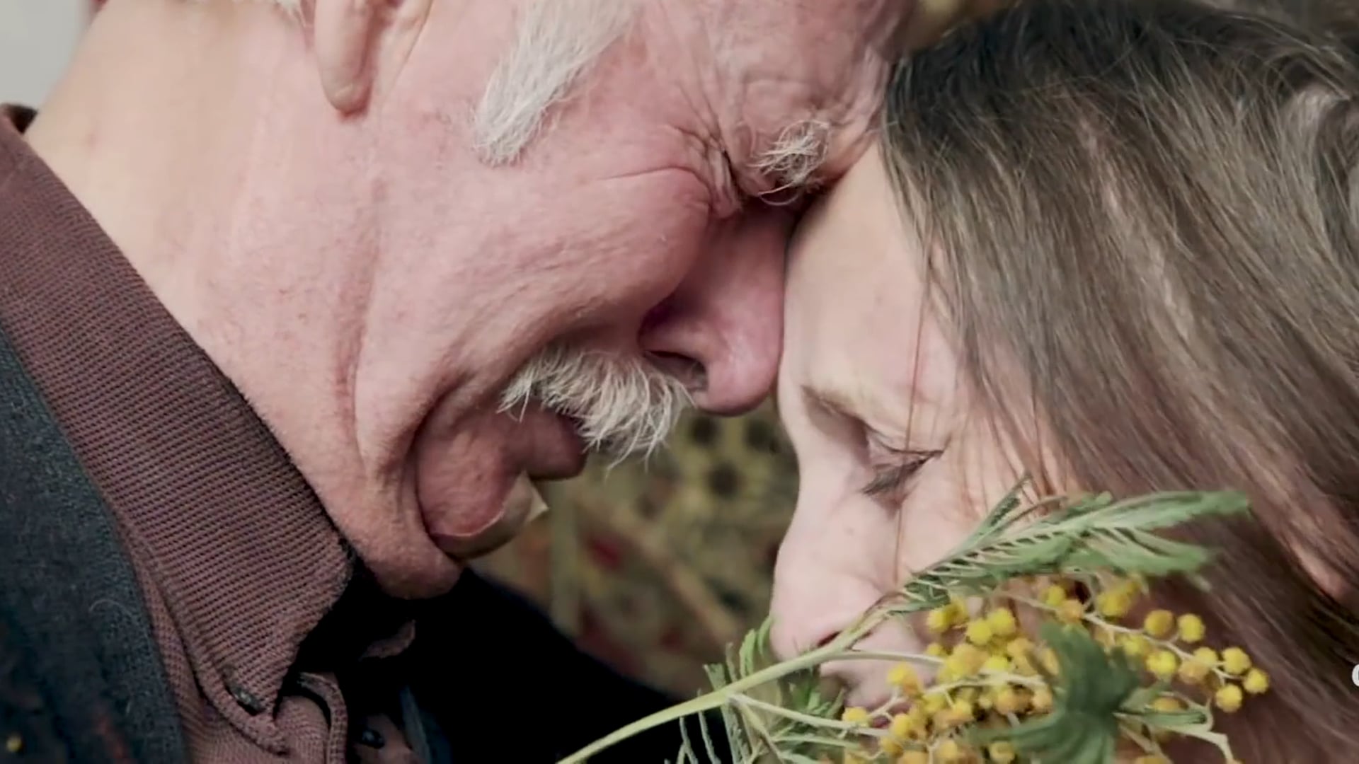 Gratidão | Contém1g Magic