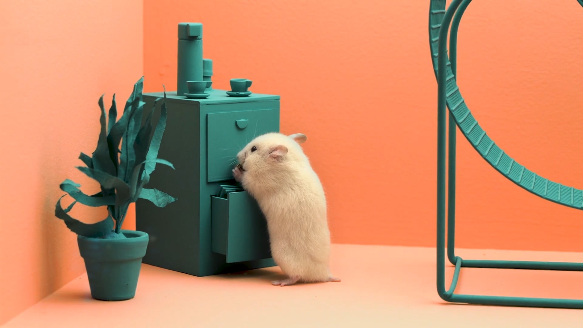 Wework Brasil Campaign Ad