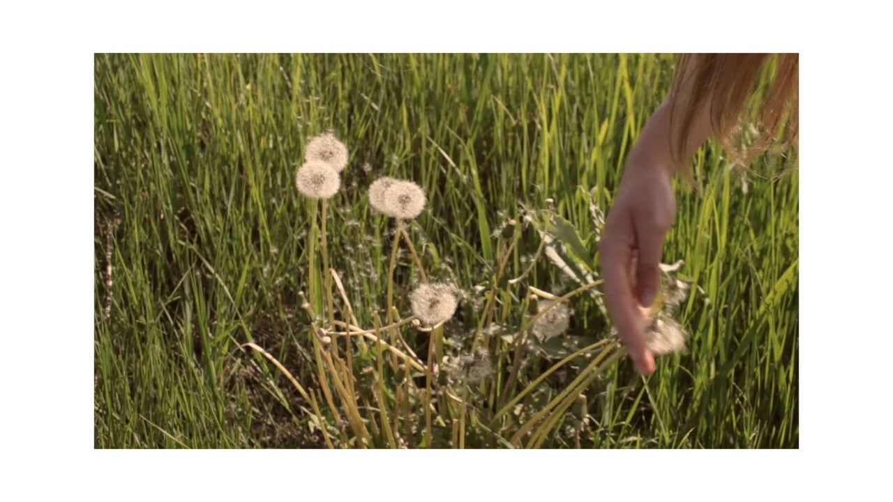 spring on Vimeo