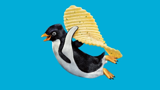 Bluebird Penguin 3D creation process