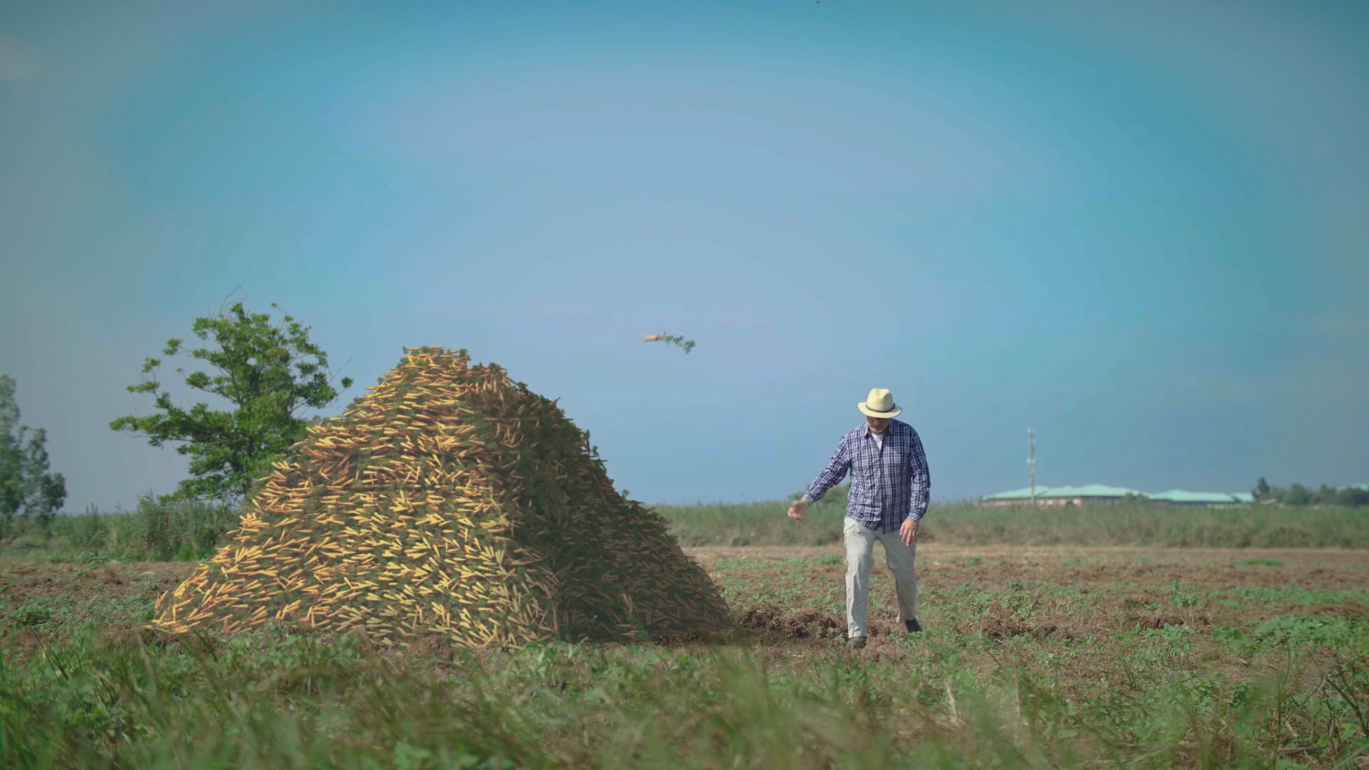 CROPX - The Internet of Soil