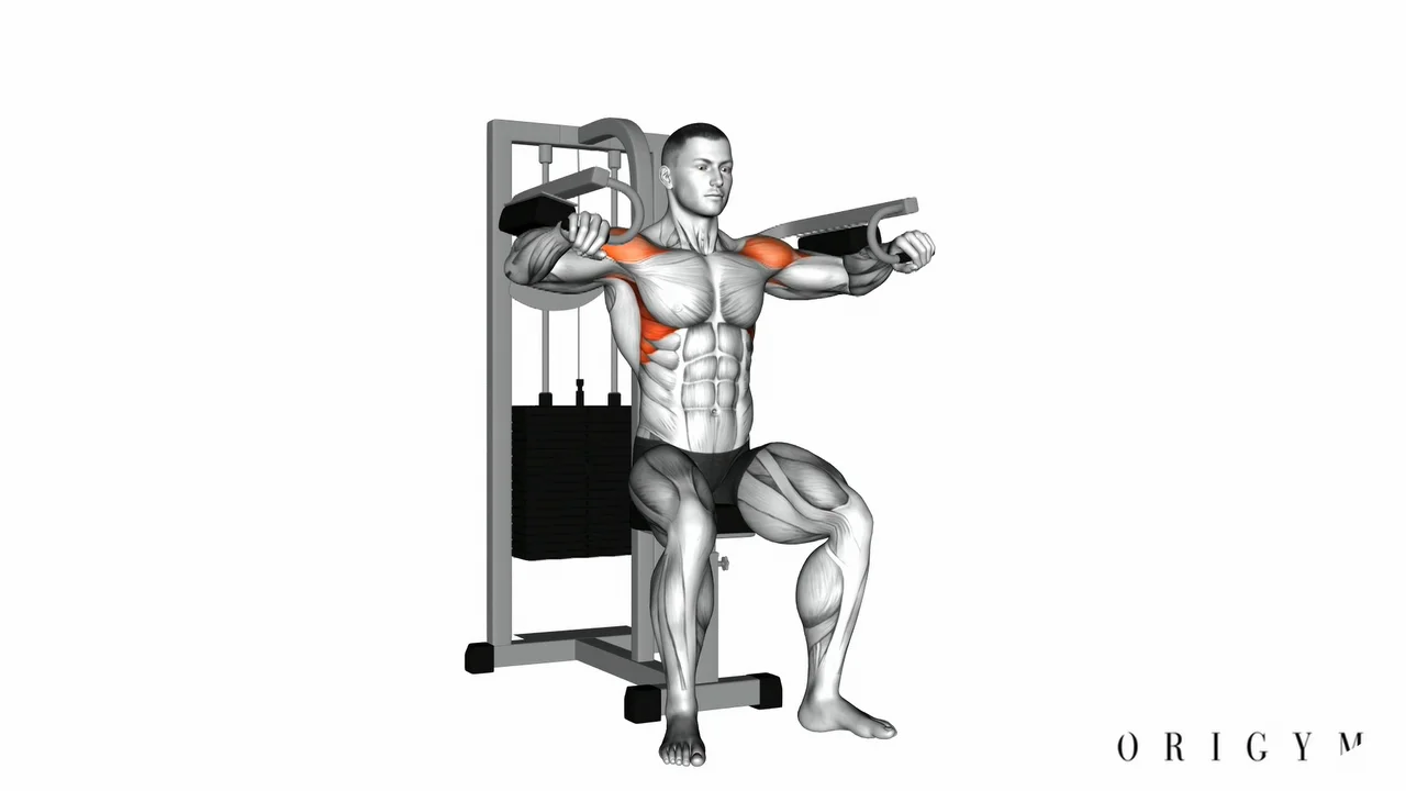 Махи в стороны в тренажере. Lateral raise. Lateral raise Machine.