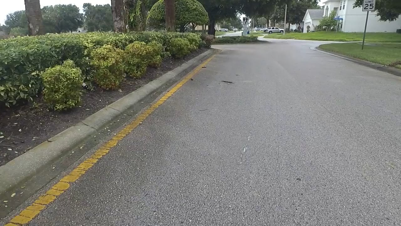 Hanging Moss Cir Section 0124 on Vimeo