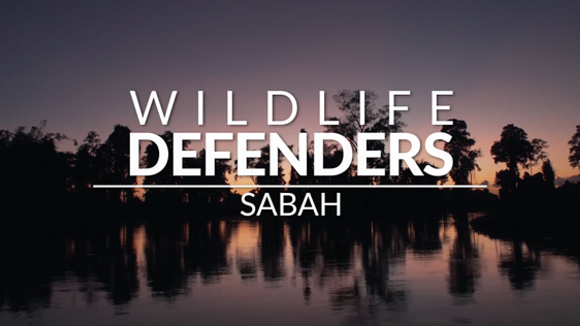 Wildlife Defenders Sabah (2017)