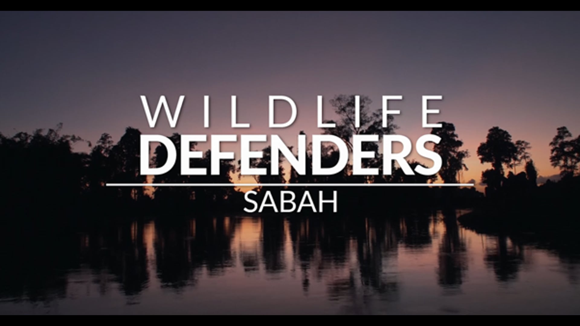 Wildlife Defenders Sabah (2017)
