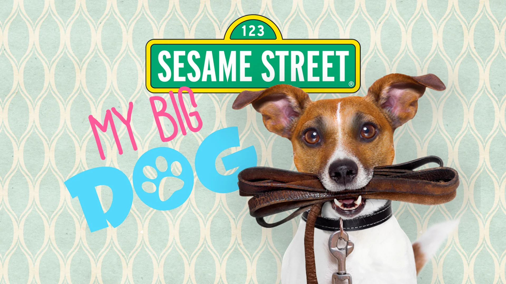 Big dog store on sesame street