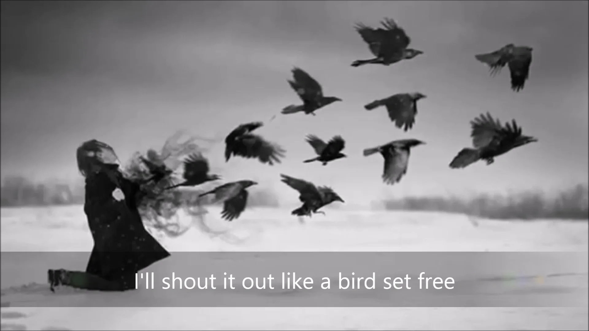 bird set free