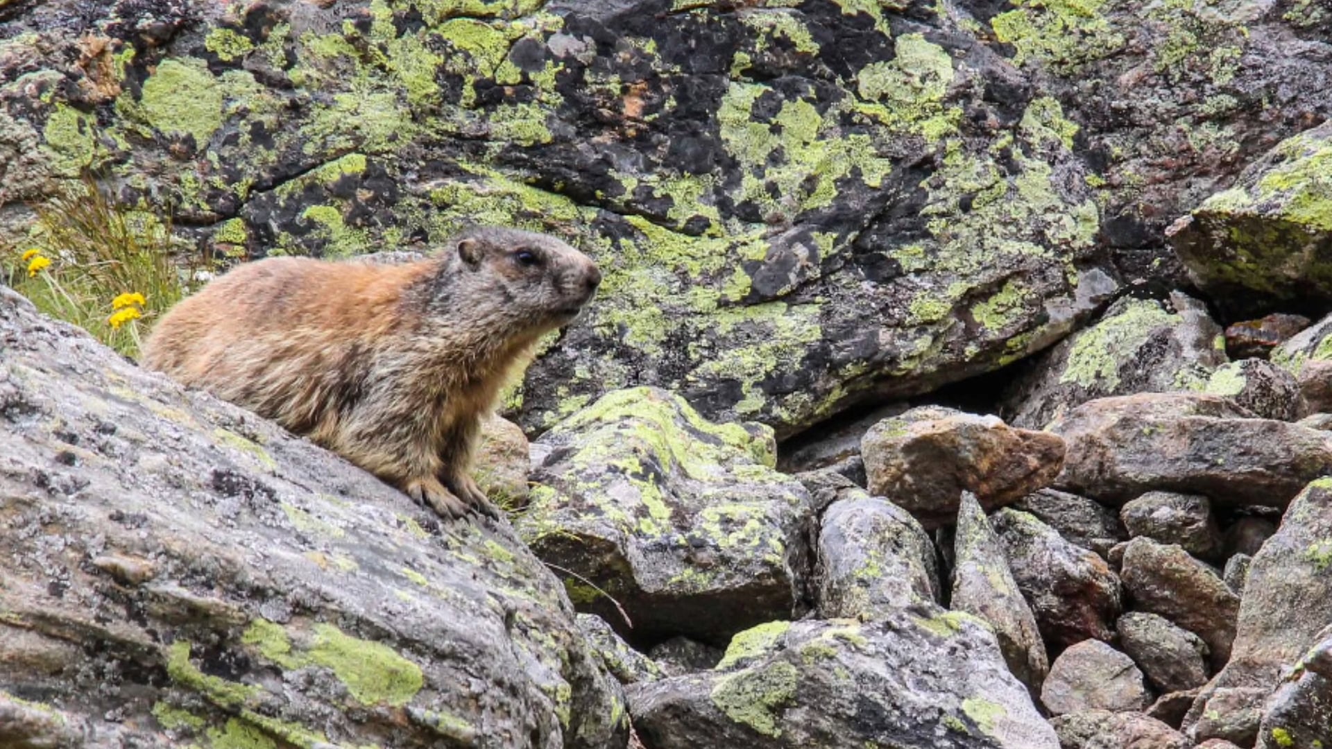 Alpenüberquerung auf dem E5 - Juli 2018
