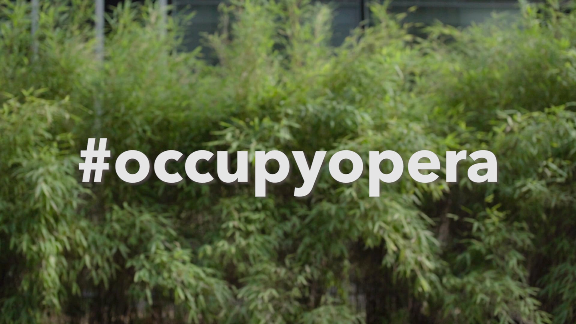 Teaser #OccupyOpera 2018