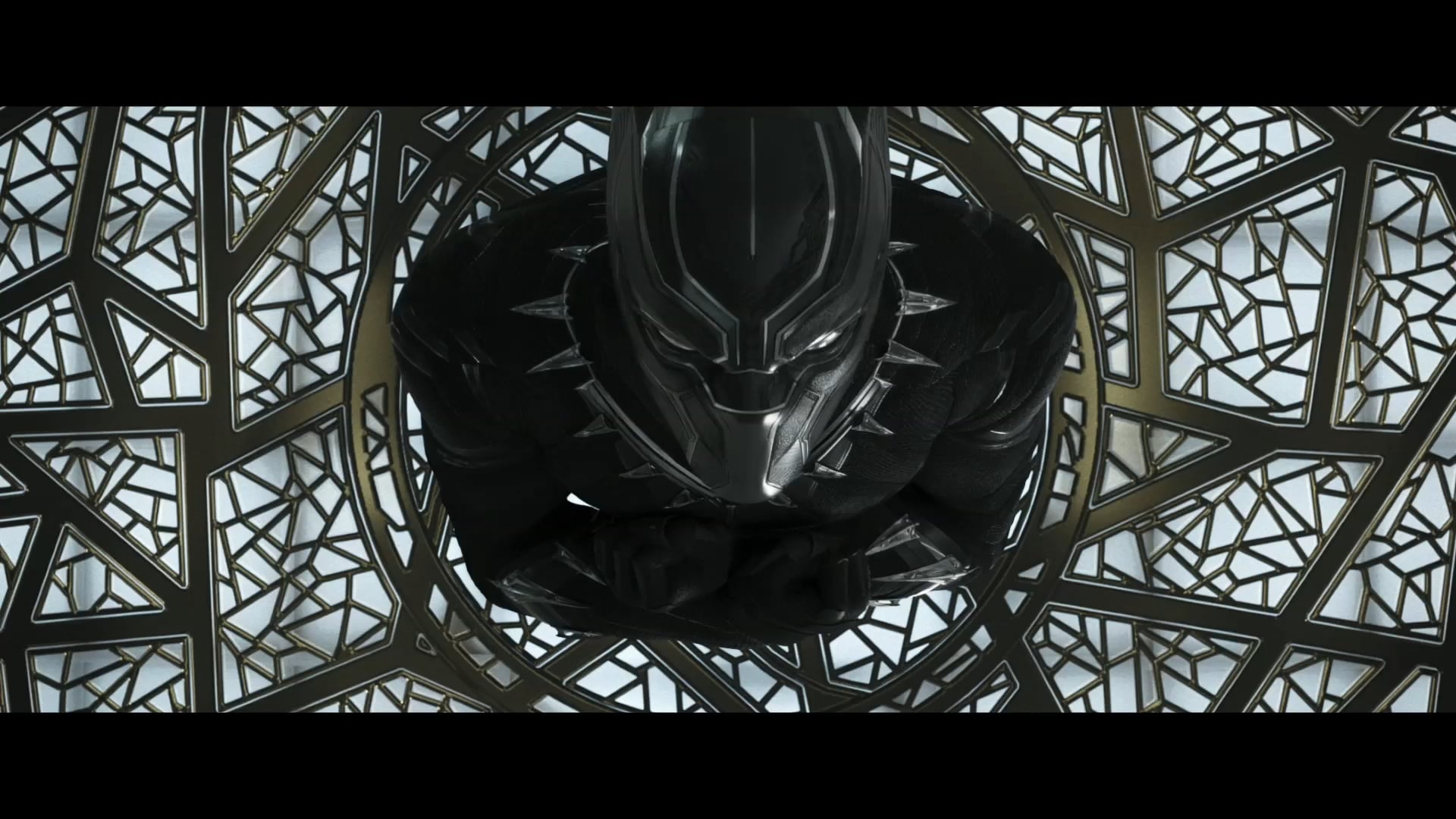 Black Panther - TV30 "Reign"