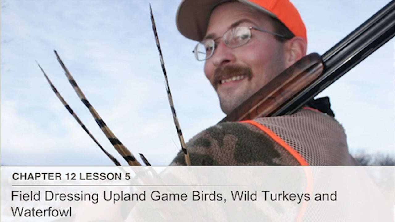 HunterEdCourse 12.5 Field Dressing Upland Game Birds, Wild Turkeys