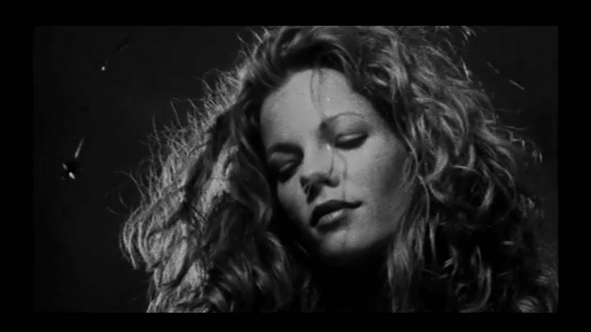 THE SHADOW AND THE SOUND