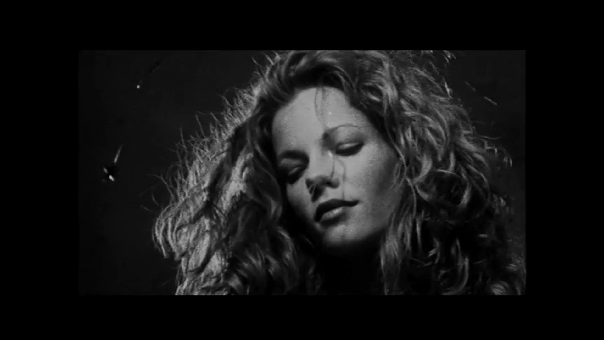 THE SHADOW AND THE SOUND