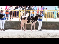 Sección 1.ª: jóvenes entre 21 y 30 años