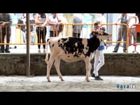 Sección 3.ª: jóvenes entre 10 y 15 años