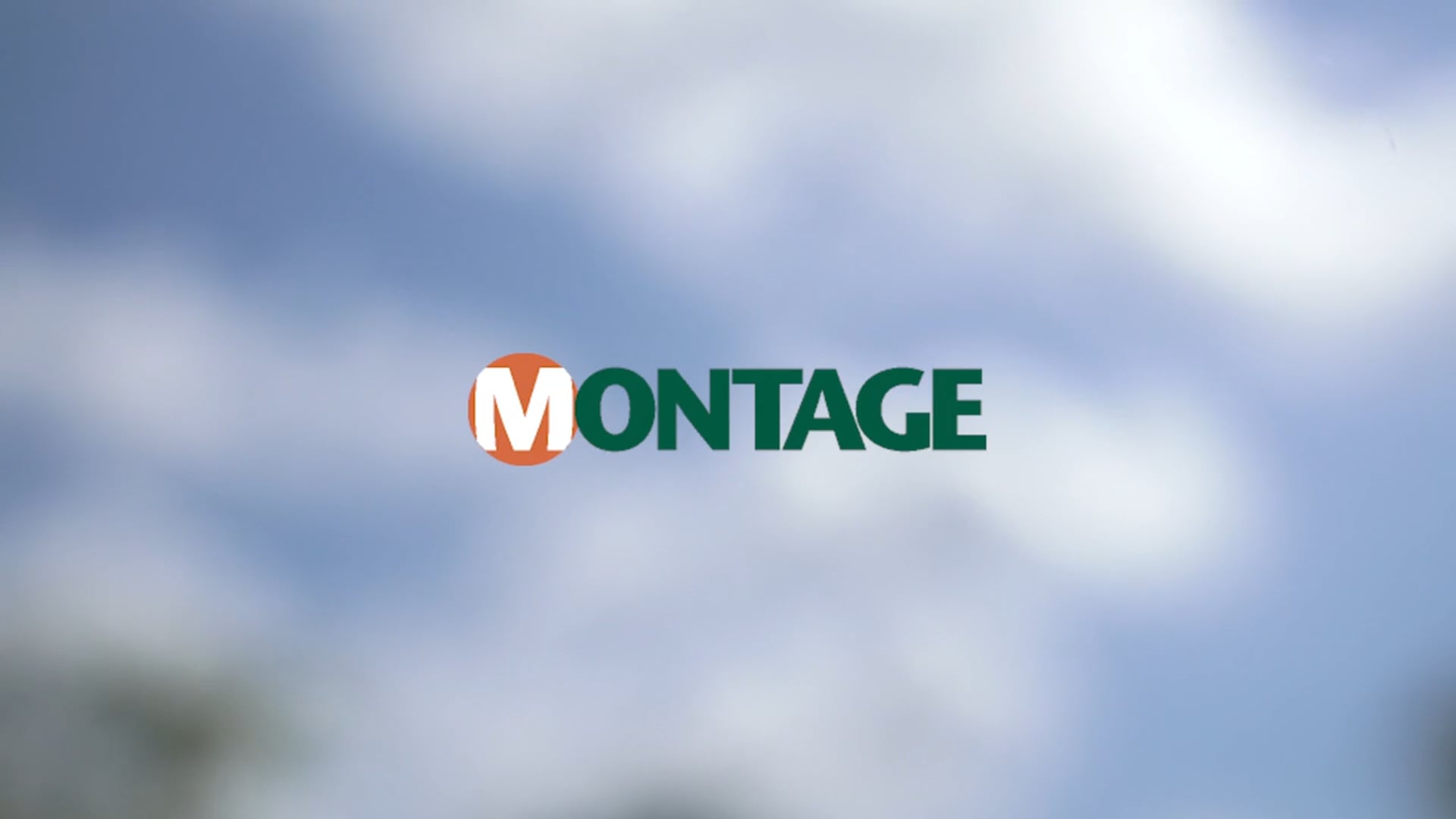 All Videos