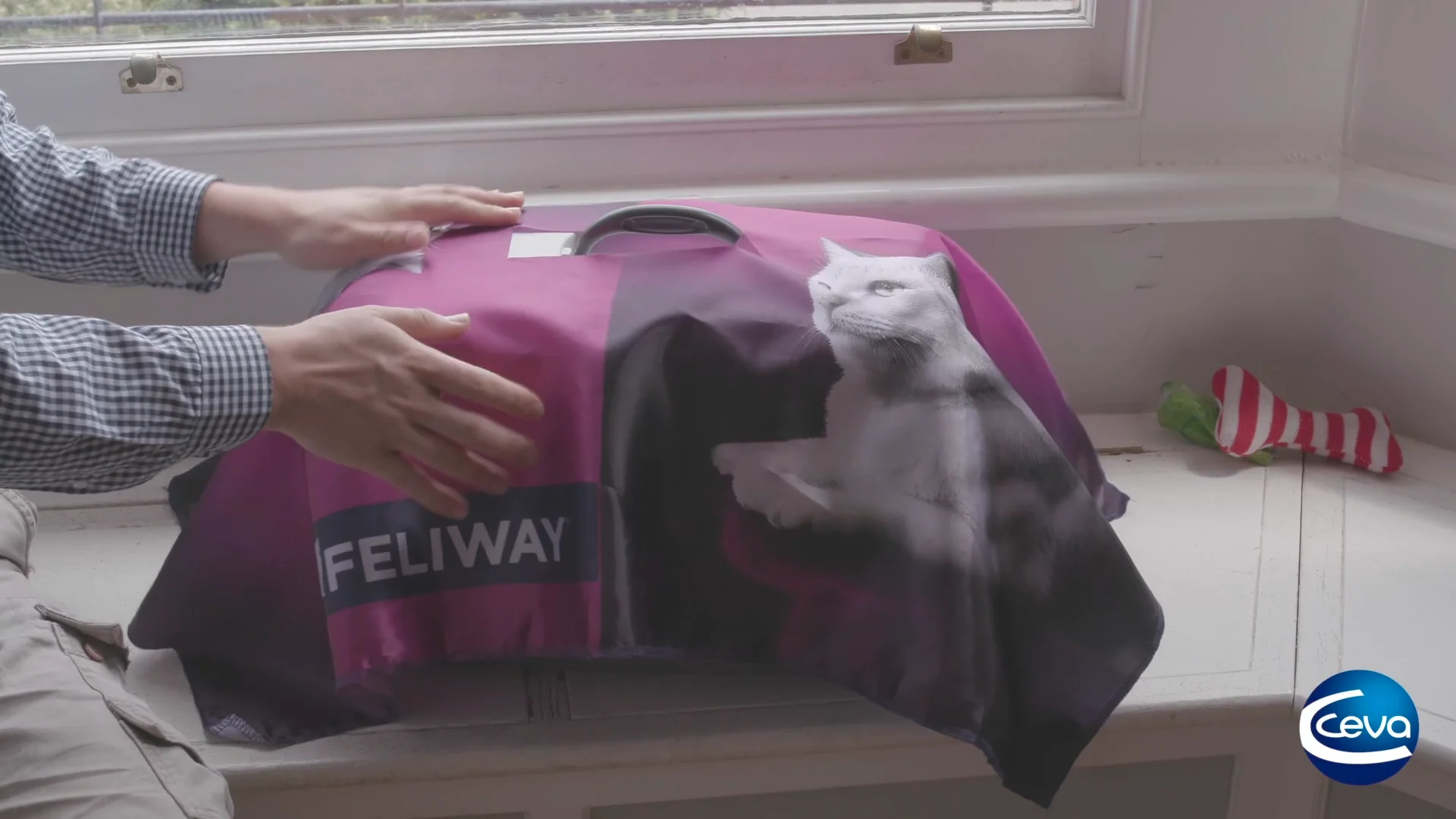 Feliway shop travel pack