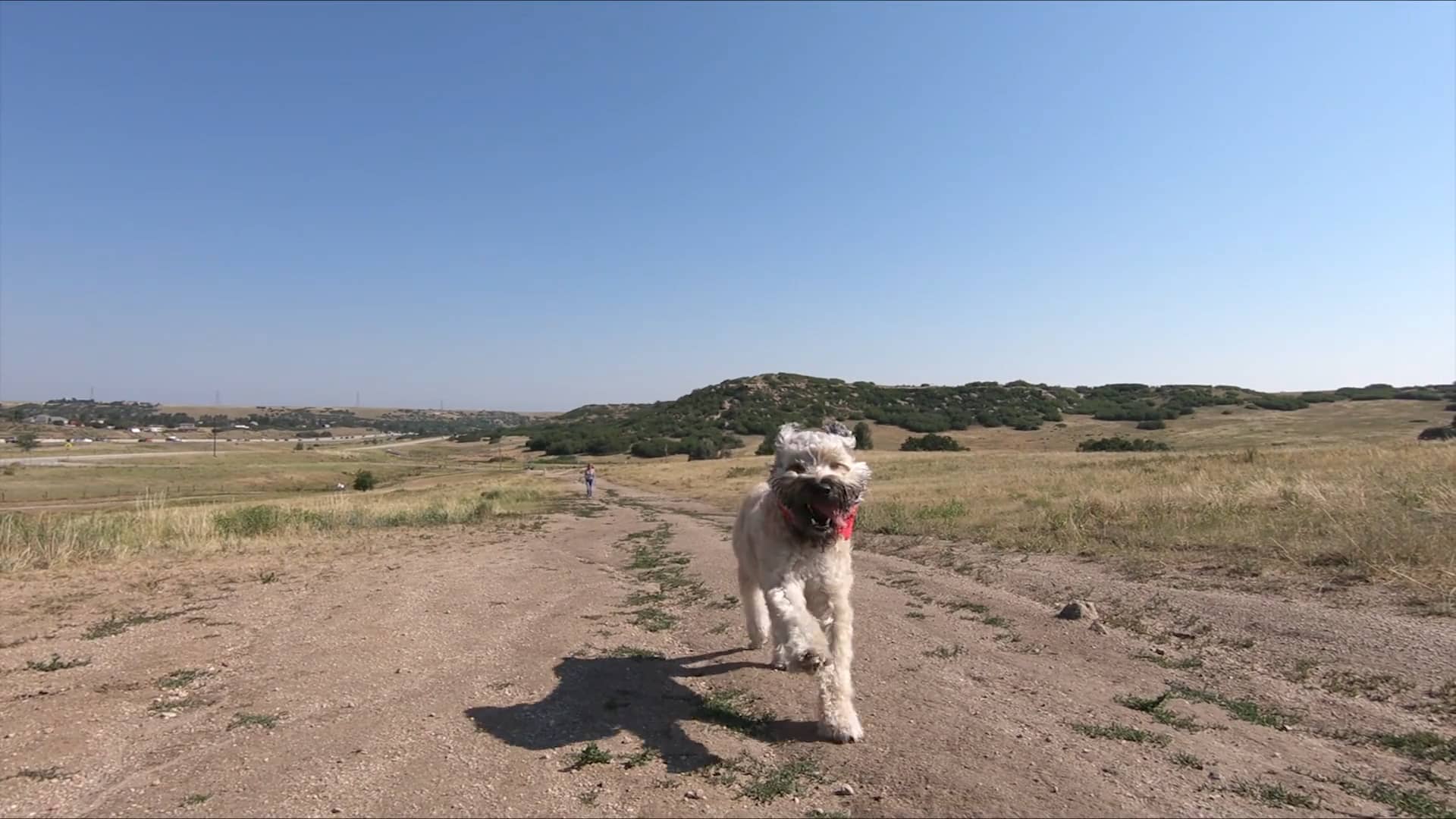 Douglas County Dog Parks on Vimeo