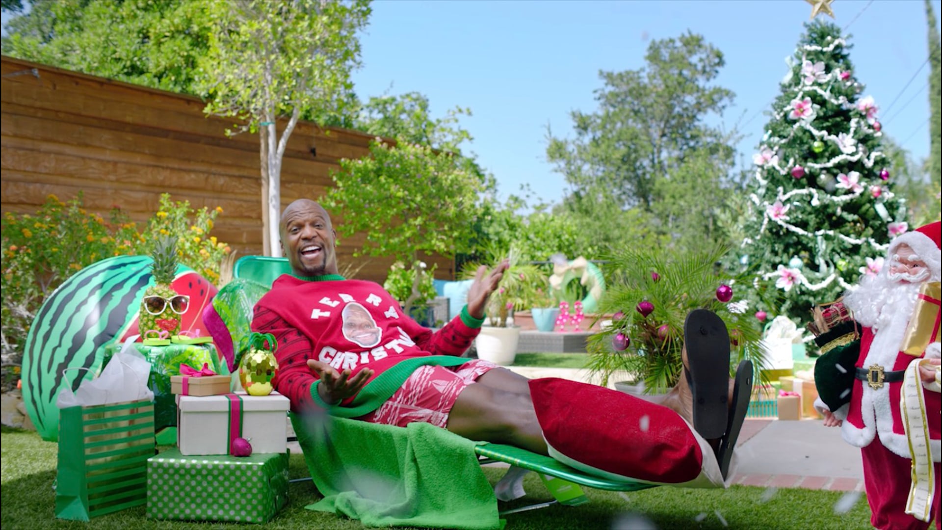 Walmart 2 Day Shipping (Terry Crews)