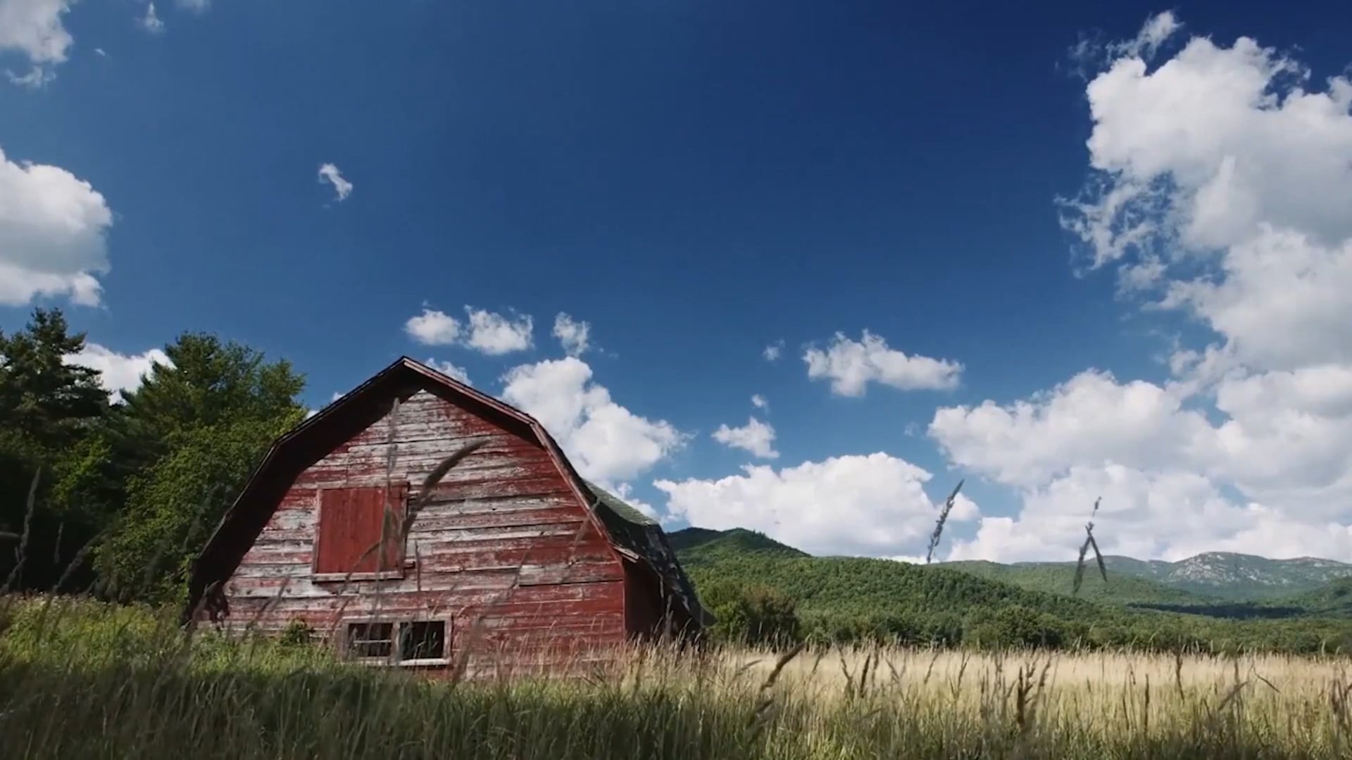 Weatherspoon Producer Preview