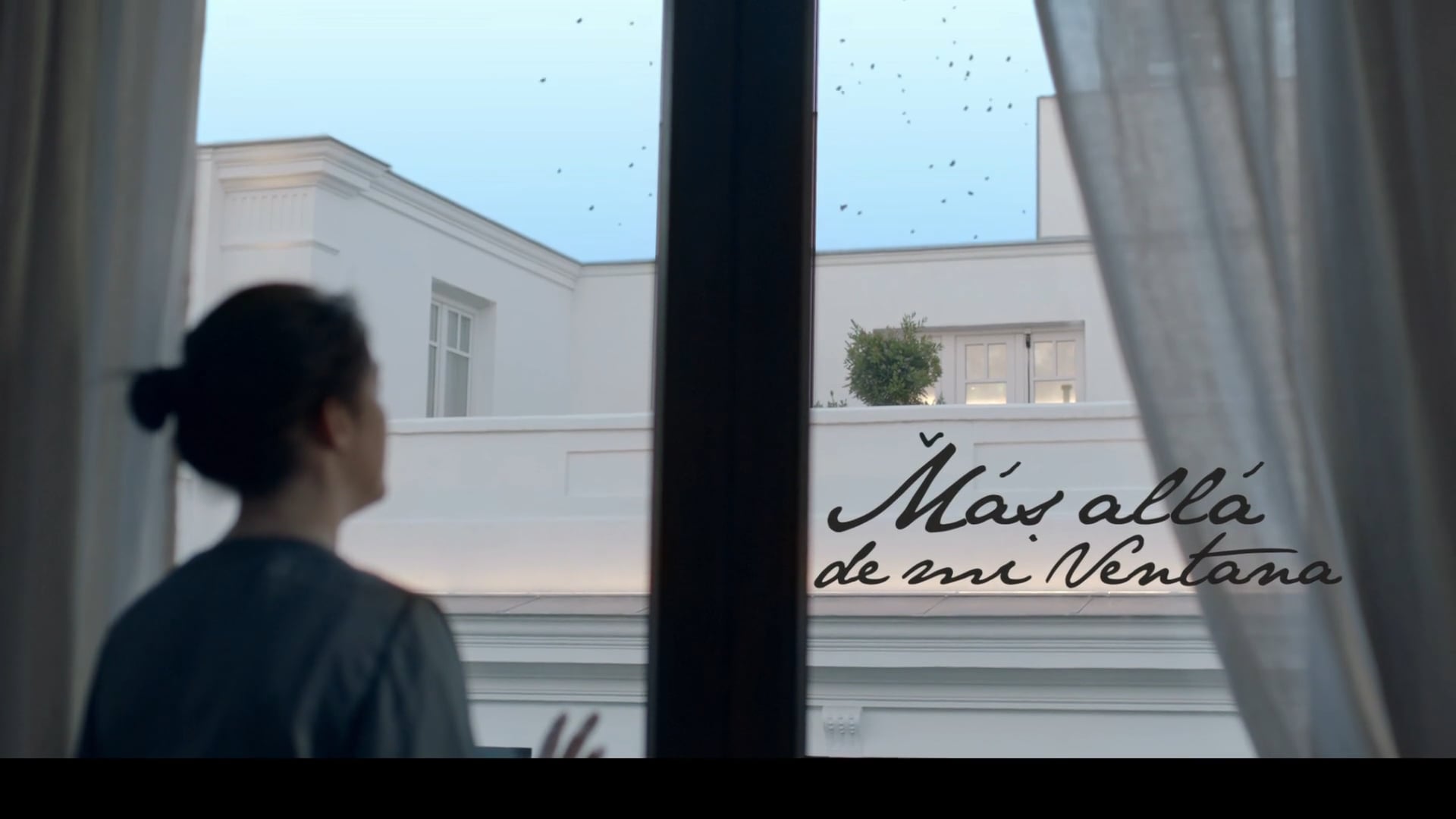 Más allá de mi ventana_Trailer