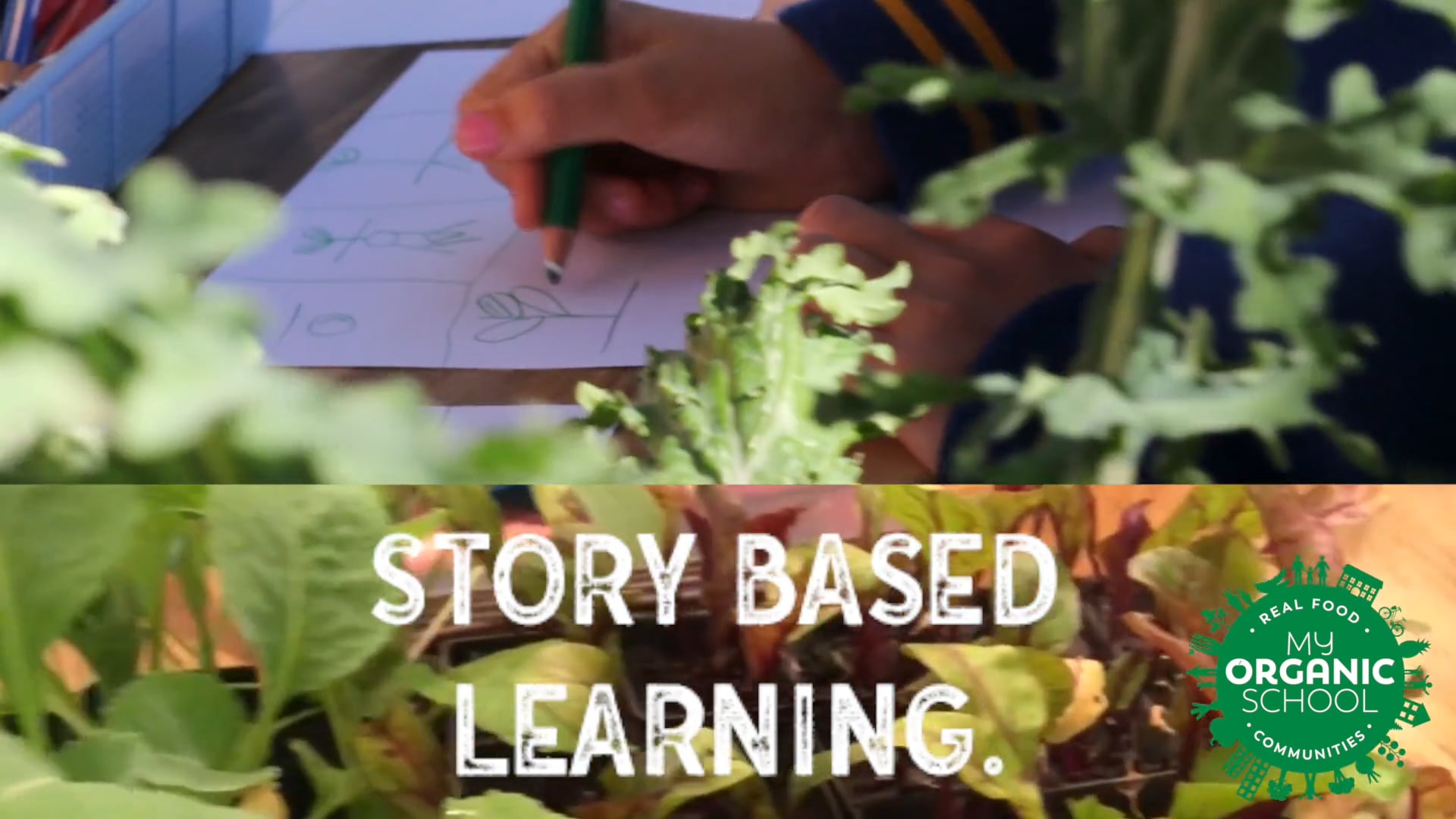 STORY TELLING AS A TOOL TO TEACH HEALTHY NUTRTION