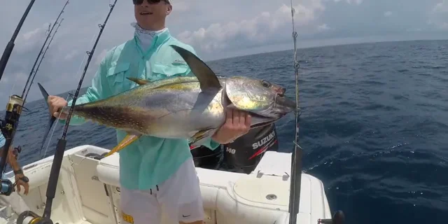 Sport FIshing Videos - FECOP