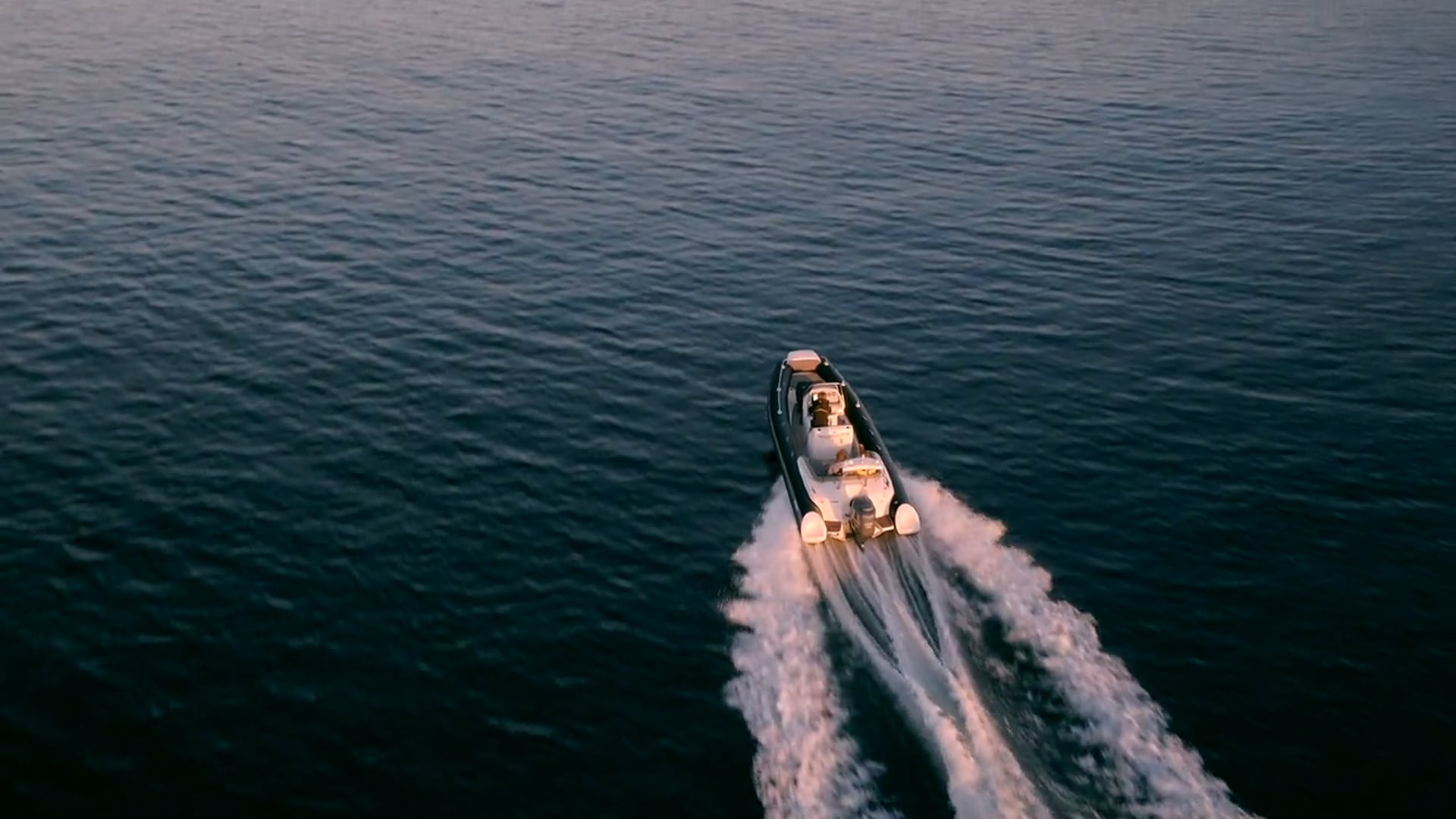 Rib Chase | Above Media