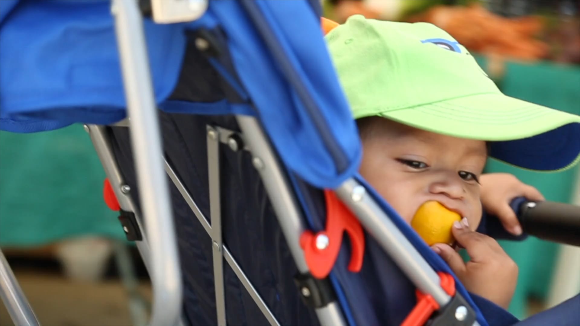 California Farmers' Market Alliance promo 1