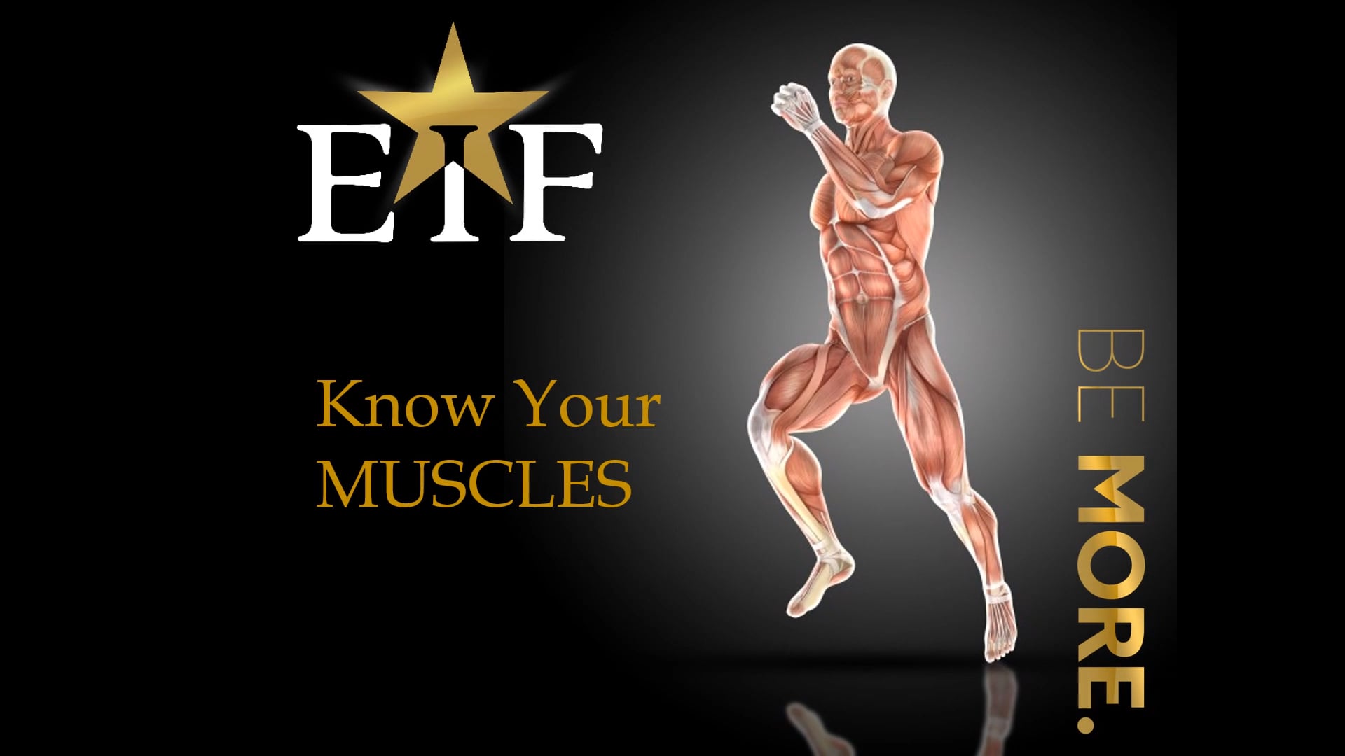 MusclesApp