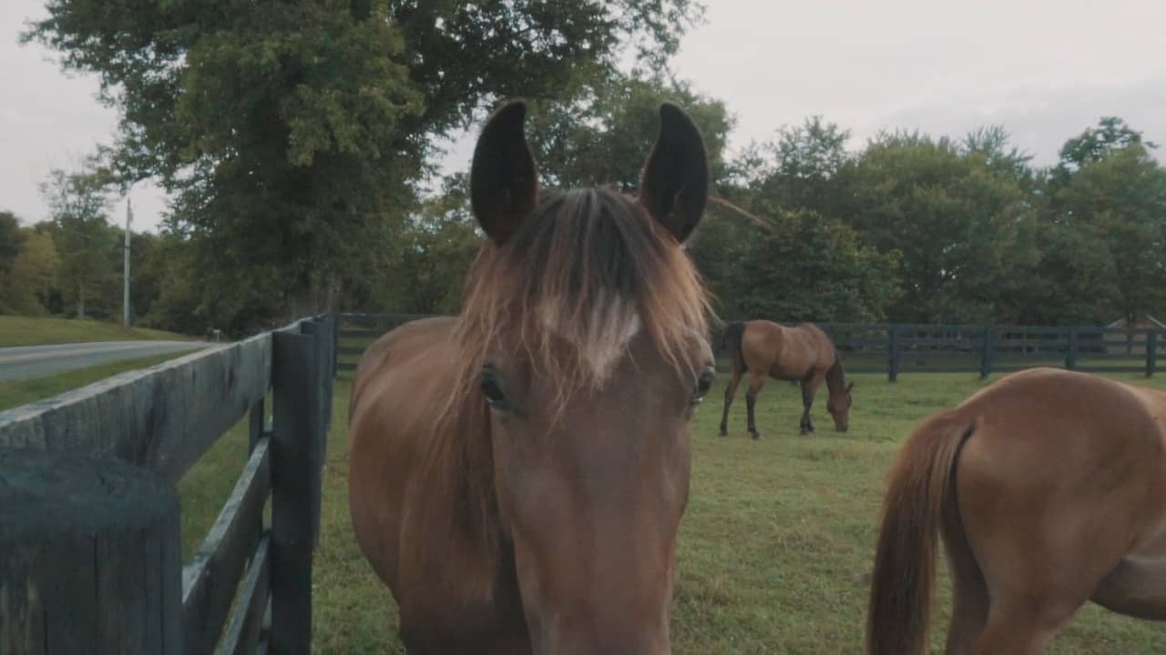 Sunny Acres Farm on Vimeo