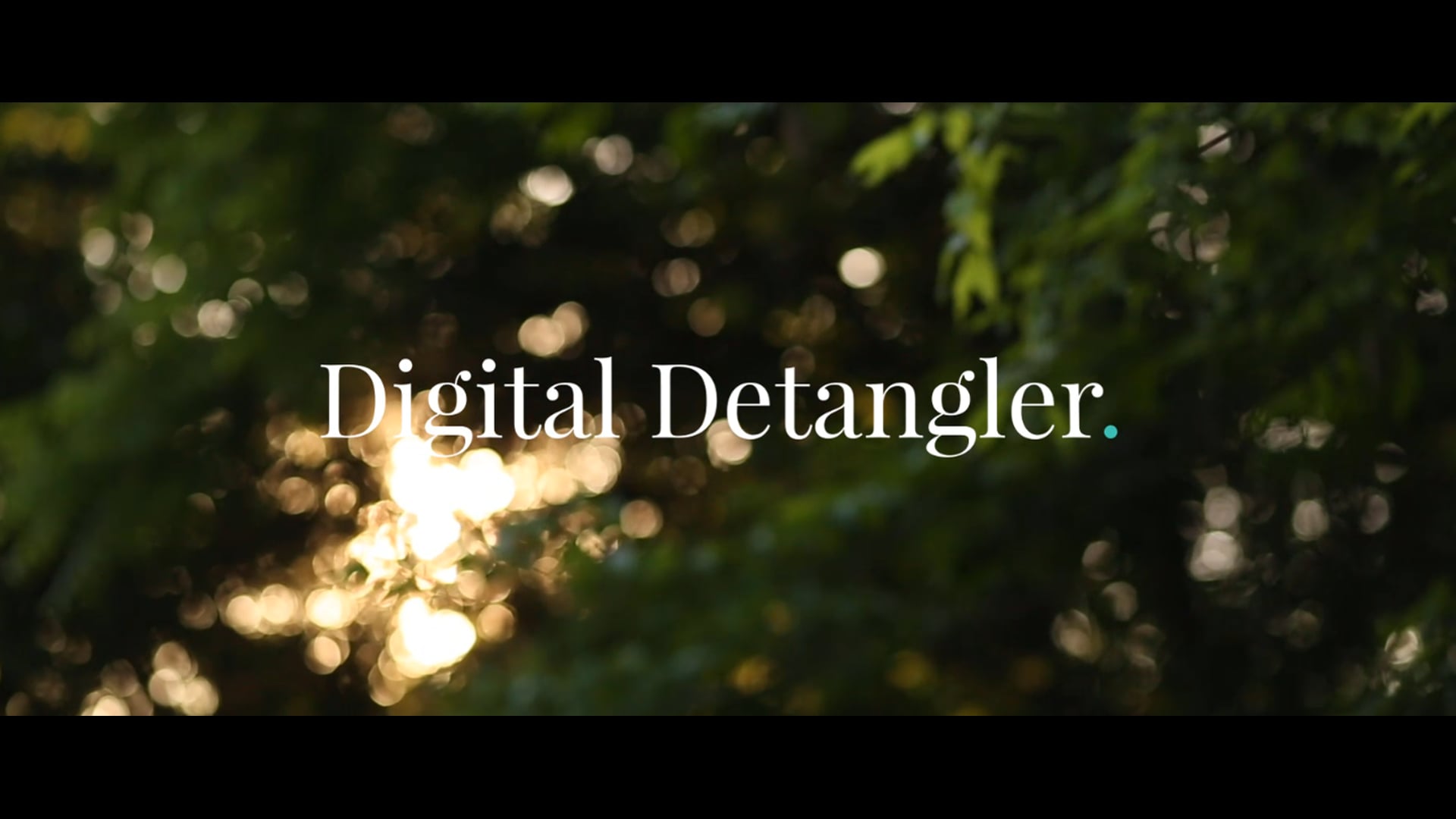 Promotional video thumbnail 1 for Digital Detangler