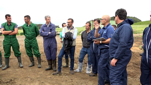 Total Dairy Azores 2018