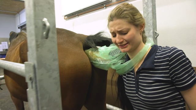 VFF_17_0179_Recruitment-Teaser_ST-DD1_180604_4