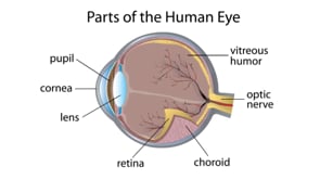 Emdr procedures