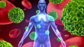 Immune system and the auto immune disease