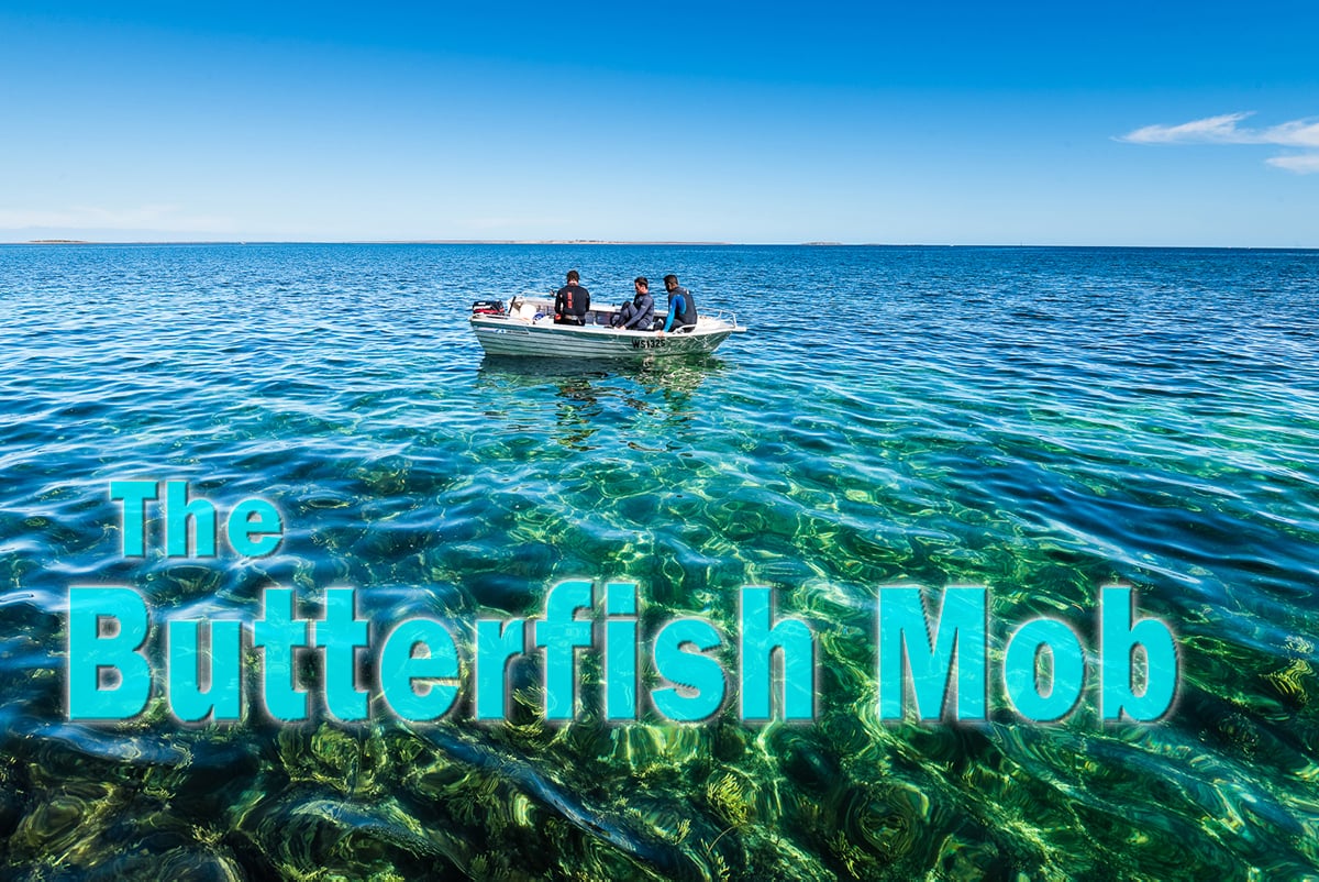 The Butterfish Mob on Vimeo
