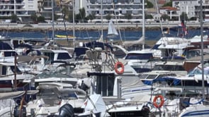 Diada del Soci amb activitats nàutiques i sopar