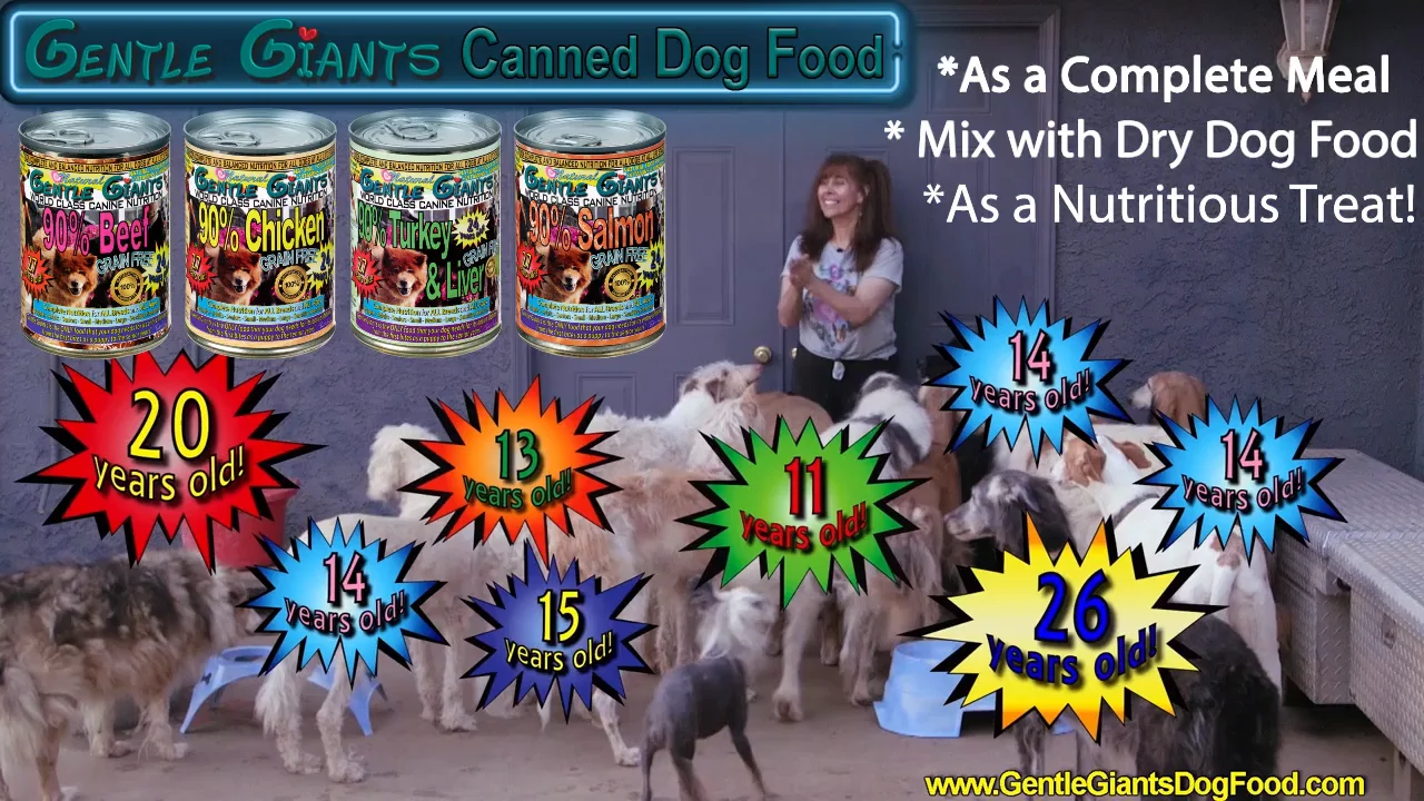 Gentle Giants Grain Free Canned Dog Food With All Fresh Ingredients