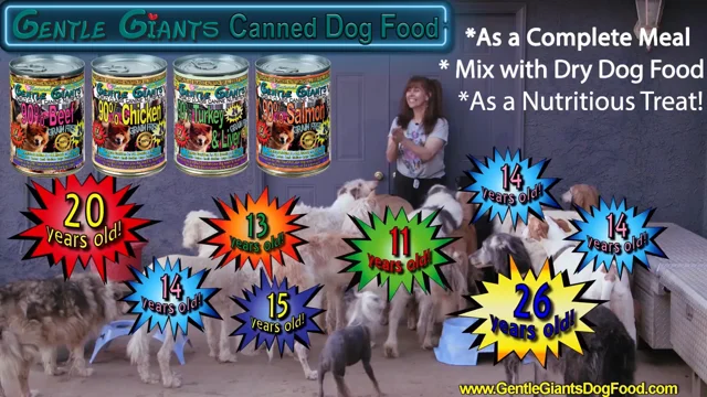 Gentle Giants Grain Free Canned Dog Food With All Fresh Ingredients