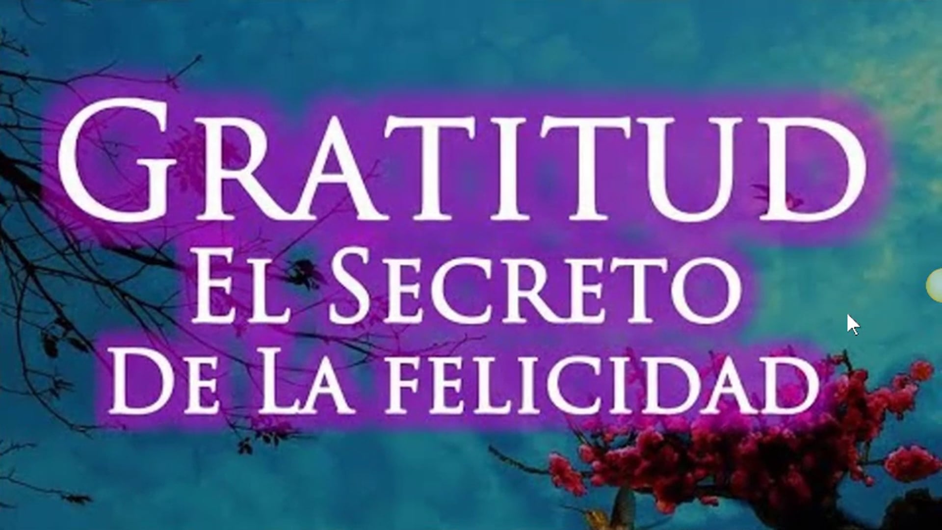 8 Crea tu Felicidad Temas Adicionales