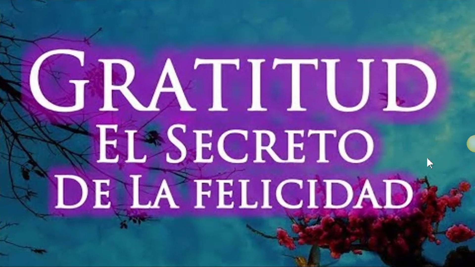 8 Crea tu Felicidad Temas Adicionales
