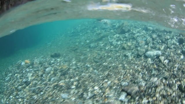 20180721 鮎つかみ取りツアー