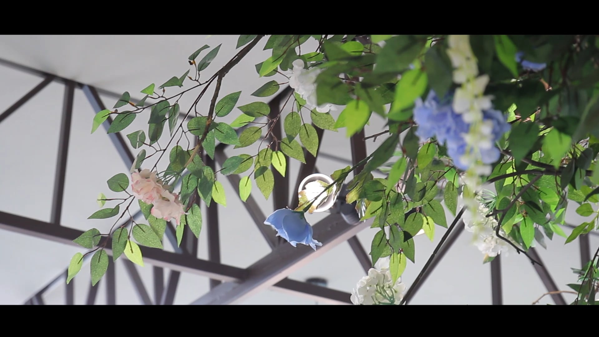 Ресторан Реклама 20188888 on Vimeo