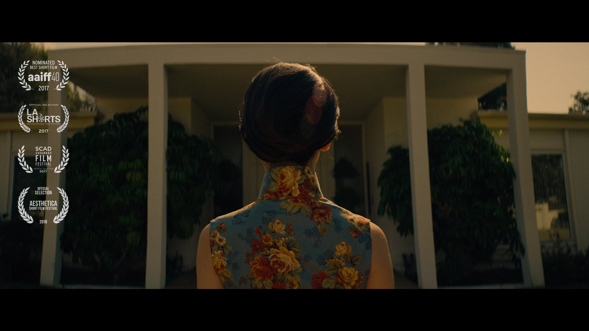 Good Night Butterfly - Trailer