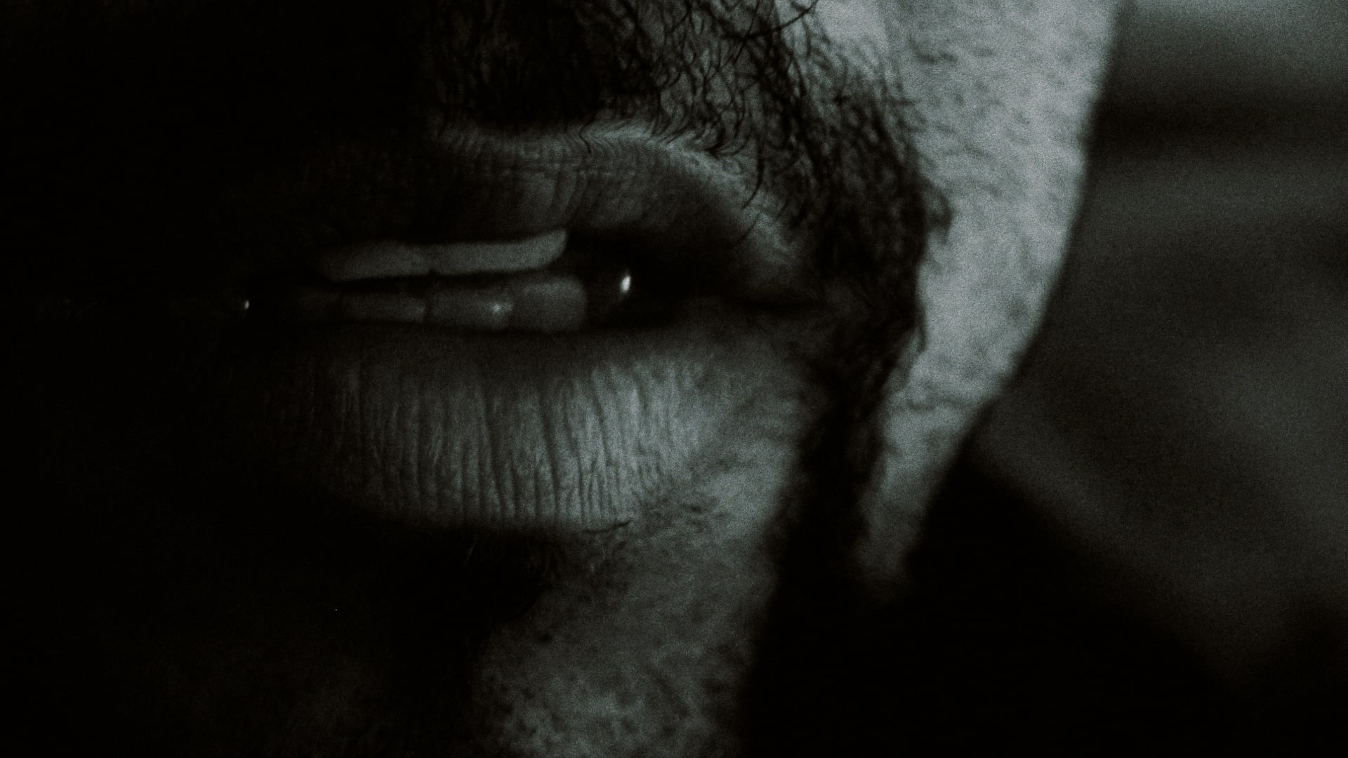 P_Teufelshunde