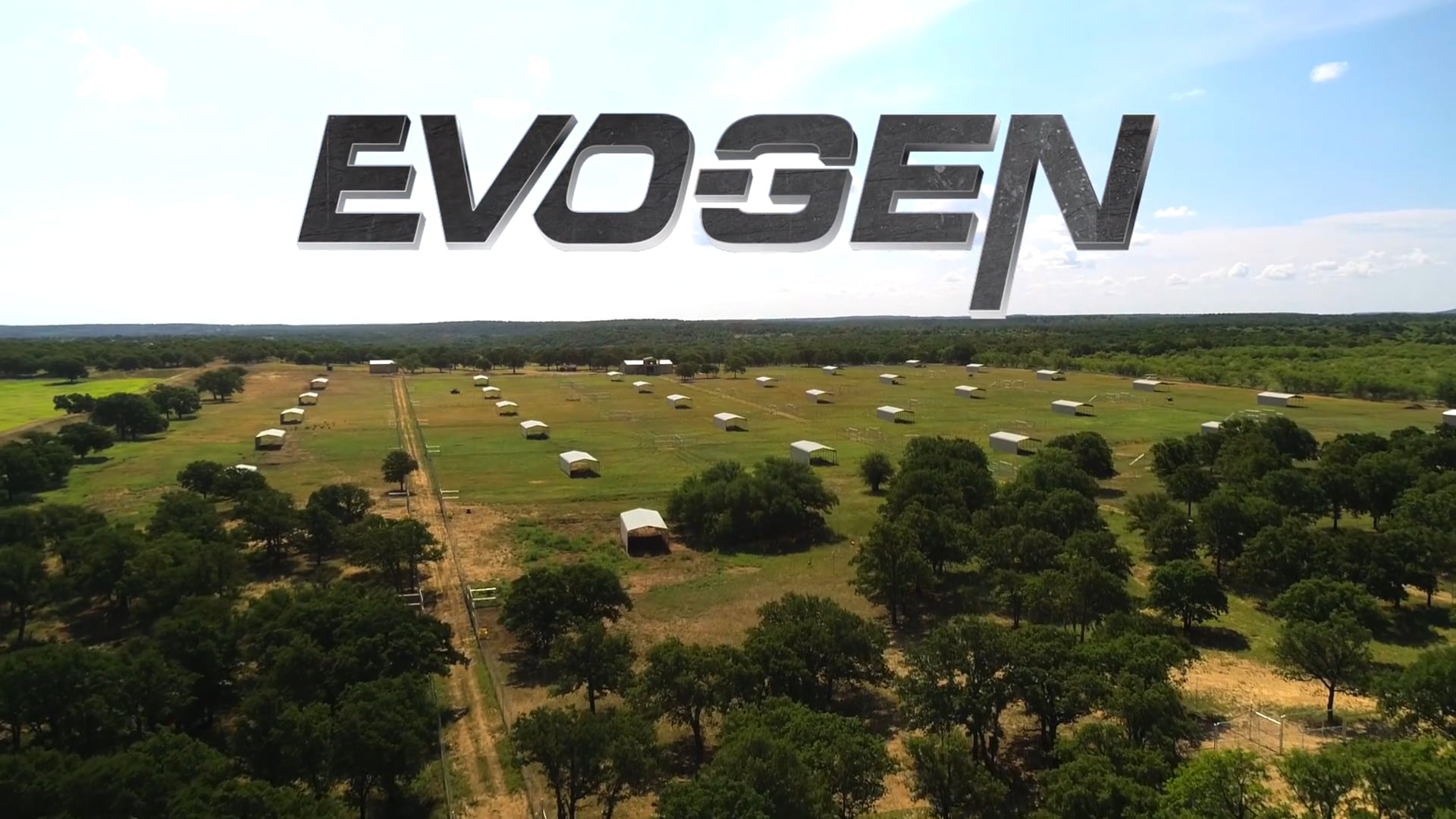 EvoGen Hype